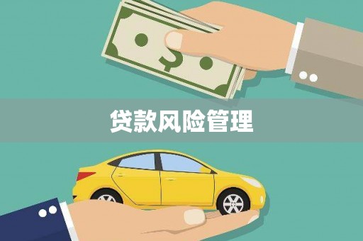 西屿贷款风险管理