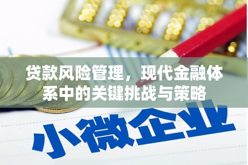 西屿贷款风险管理，现代金融体系中的关键挑战与策略