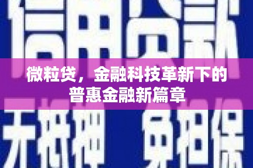 西屿微粒贷，金融科技革新下的普惠金融新篇章