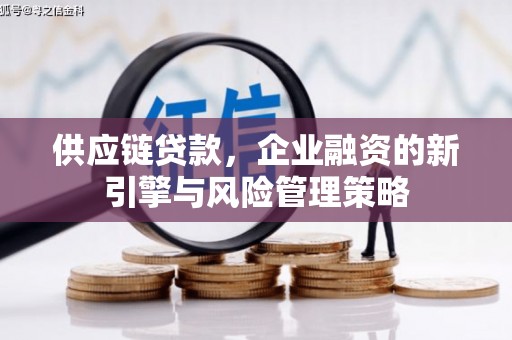 西屿供应链贷款，企业融资的新引擎与风险管理策略