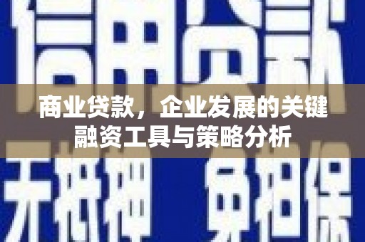 西屿商业贷款，企业发展的关键融资工具与策略分析