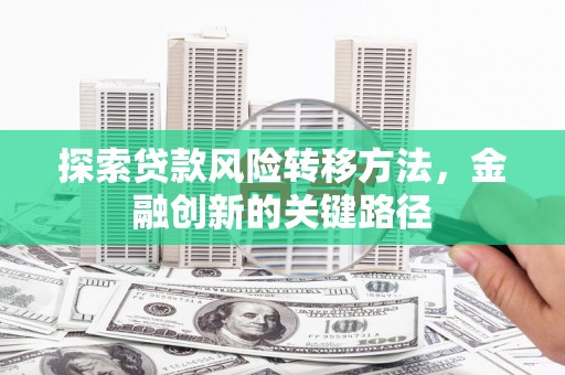 西屿探索贷款风险转移方法，金融创新的关键路径