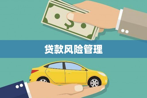 西屿贷款风险管理
