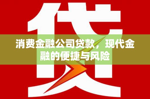西屿消费金融公司贷款，现代金融的便捷与风险