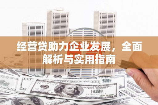 西屿经营贷助力企业发展，全面解析与实用指南