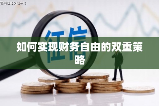 西屿如何实现财务自由的双重策略