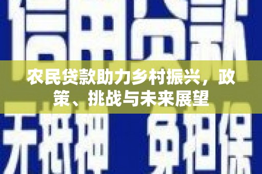 西屿农民贷款助力乡村振兴，政策、挑战与未来展望
