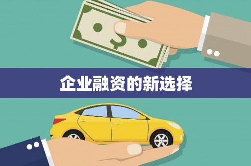 西屿企业融资的新选择
