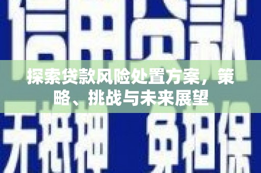 西屿探索贷款风险处置方案，策略、挑战与未来展望