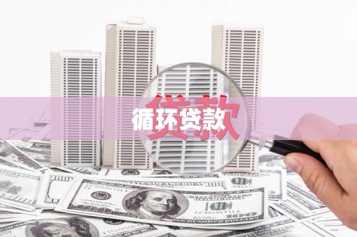 西屿循环贷款
