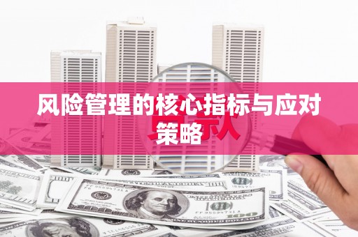 西屿风险管理的核心指标与应对策略