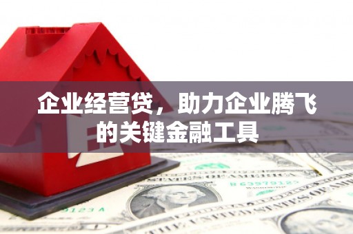 西屿企业经营贷，助力企业腾飞的关键金融工具