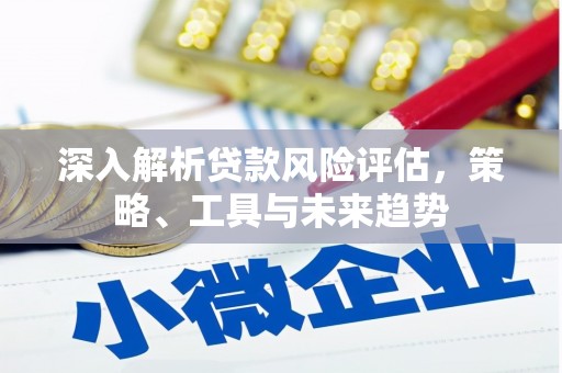 西屿深入解析贷款风险评估，策略、工具与未来趋势