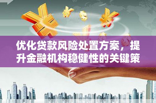 西屿优化贷款风险处置方案，提升金融机构稳健性的关键策略