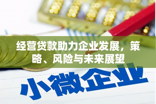 西屿经营贷款助力企业发展，策略、风险与未来展望