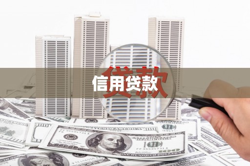 西屿信用贷款