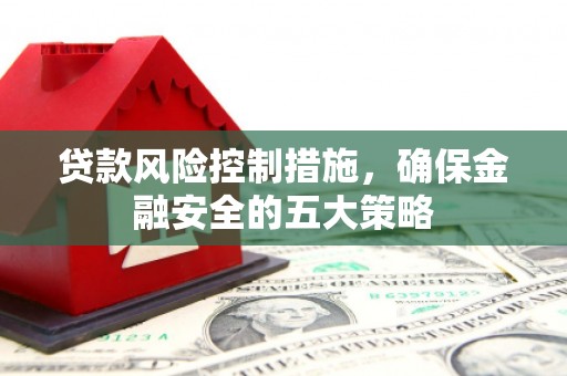 西屿贷款风险控制措施，确保金融安全的五大策略