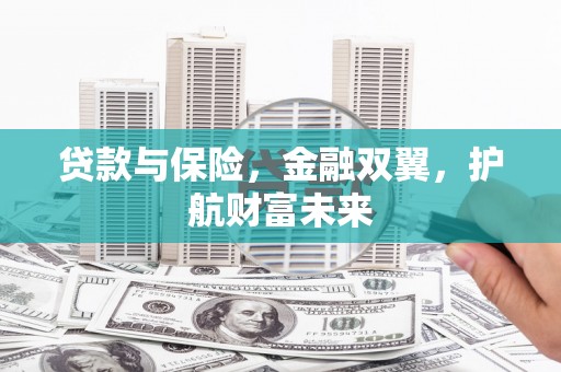 西屿贷款与保险，金融双翼，护航财富未来
