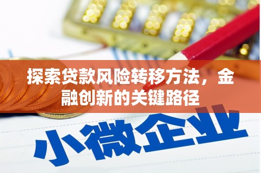 西屿探索贷款风险转移方法，金融创新的关键路径