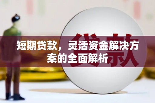 西屿短期贷款，灵活资金解决方案的全面解析