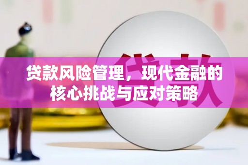 西屿贷款风险管理，现代金融的核心挑战与应对策略