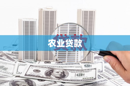 西屿农业贷款