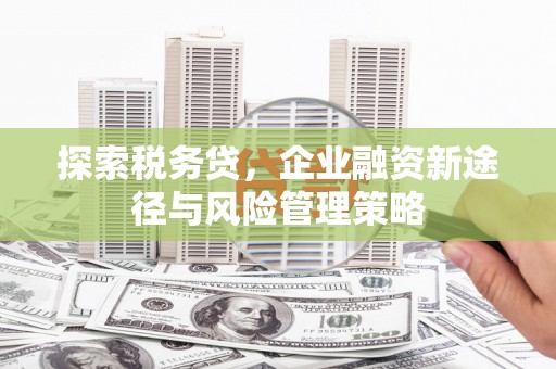 西屿探索税务贷，企业融资新途径与风险管理策略
