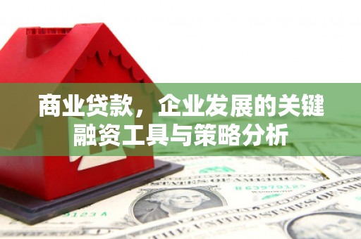 西屿商业贷款，企业发展的关键融资工具与策略分析