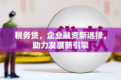 西屿税务贷，企业融资新选择，助力发展新引擎