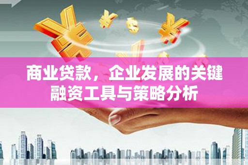 西屿商业贷款，企业发展的关键融资工具与策略分析