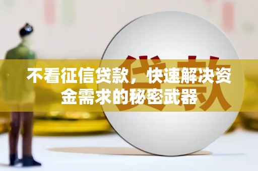 西屿不看征信贷款，快速解决资金需求的秘密武器