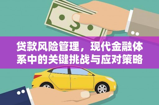 西屿贷款风险管理，现代金融体系中的关键挑战与应对策略