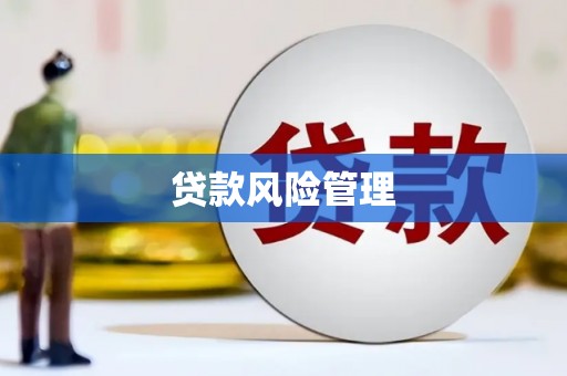 西屿贷款风险管理