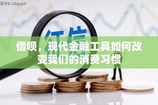西屿借呗，现代金融工具如何改变我们的消费习惯