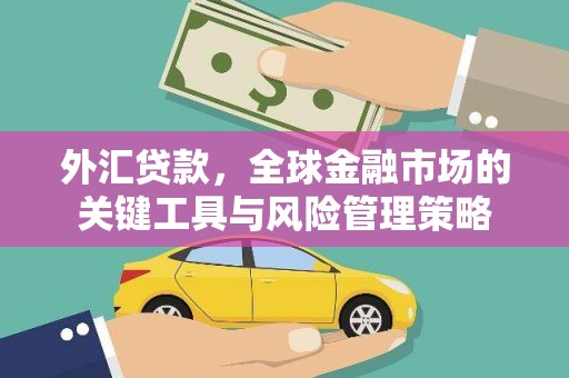 西屿外汇贷款，全球金融市场的关键工具与风险管理策略