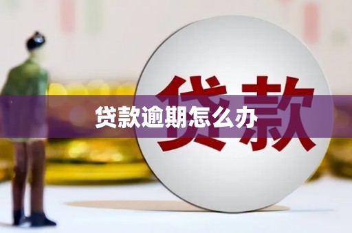 西屿贷款逾期怎么办