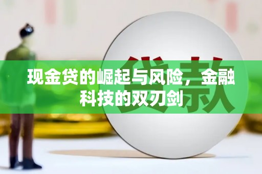 西屿现金贷的崛起与风险，金融科技的双刃剑