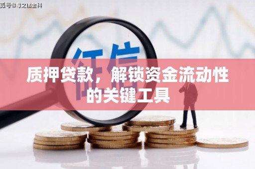 西屿质押贷款，解锁资金流动性的关键工具