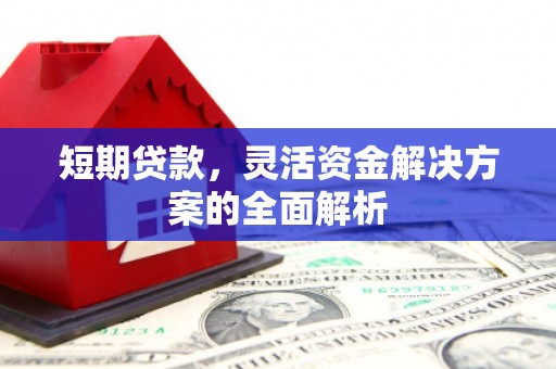西屿短期贷款，灵活资金解决方案的全面解析
