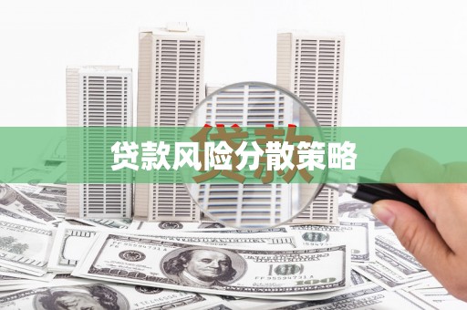 西屿贷款风险分散策略