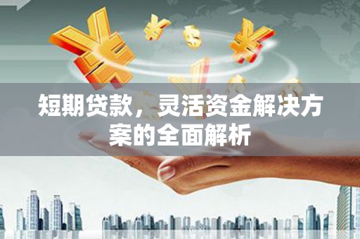 西屿短期贷款，灵活资金解决方案的全面解析