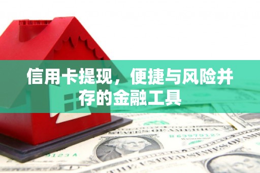 西屿信用卡提现，便捷与风险并存的金融工具