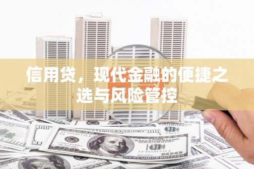 西屿信用贷，现代金融的便捷之选与风险管控