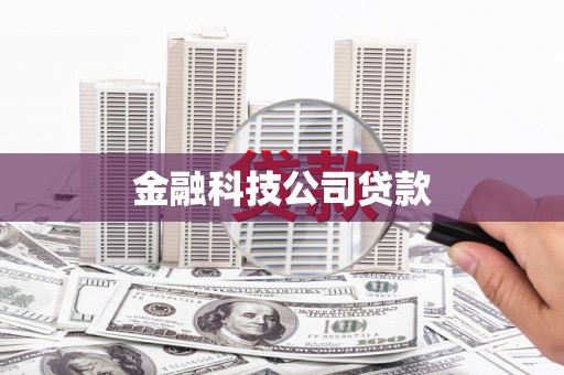 西屿金融科技公司贷款