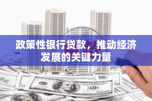 西屿政策性银行贷款，推动经济发展的关键力量