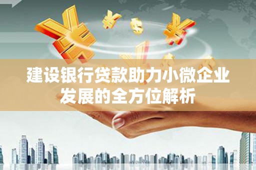 西屿建设银行贷款助力小微企业发展的全方位解析