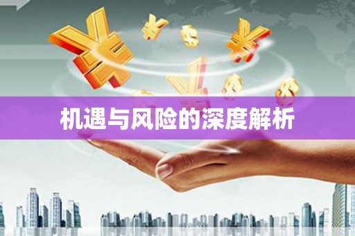 西屿机遇与风险的深度解析