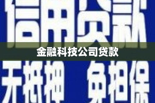 西屿金融科技公司贷款
