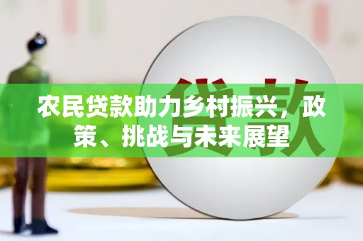 西屿农民贷款助力乡村振兴，政策、挑战与未来展望