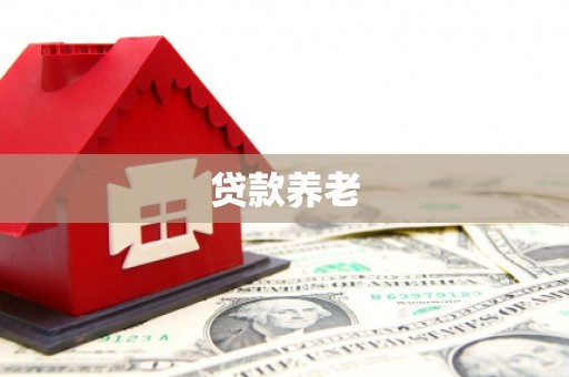 西屿贷款养老